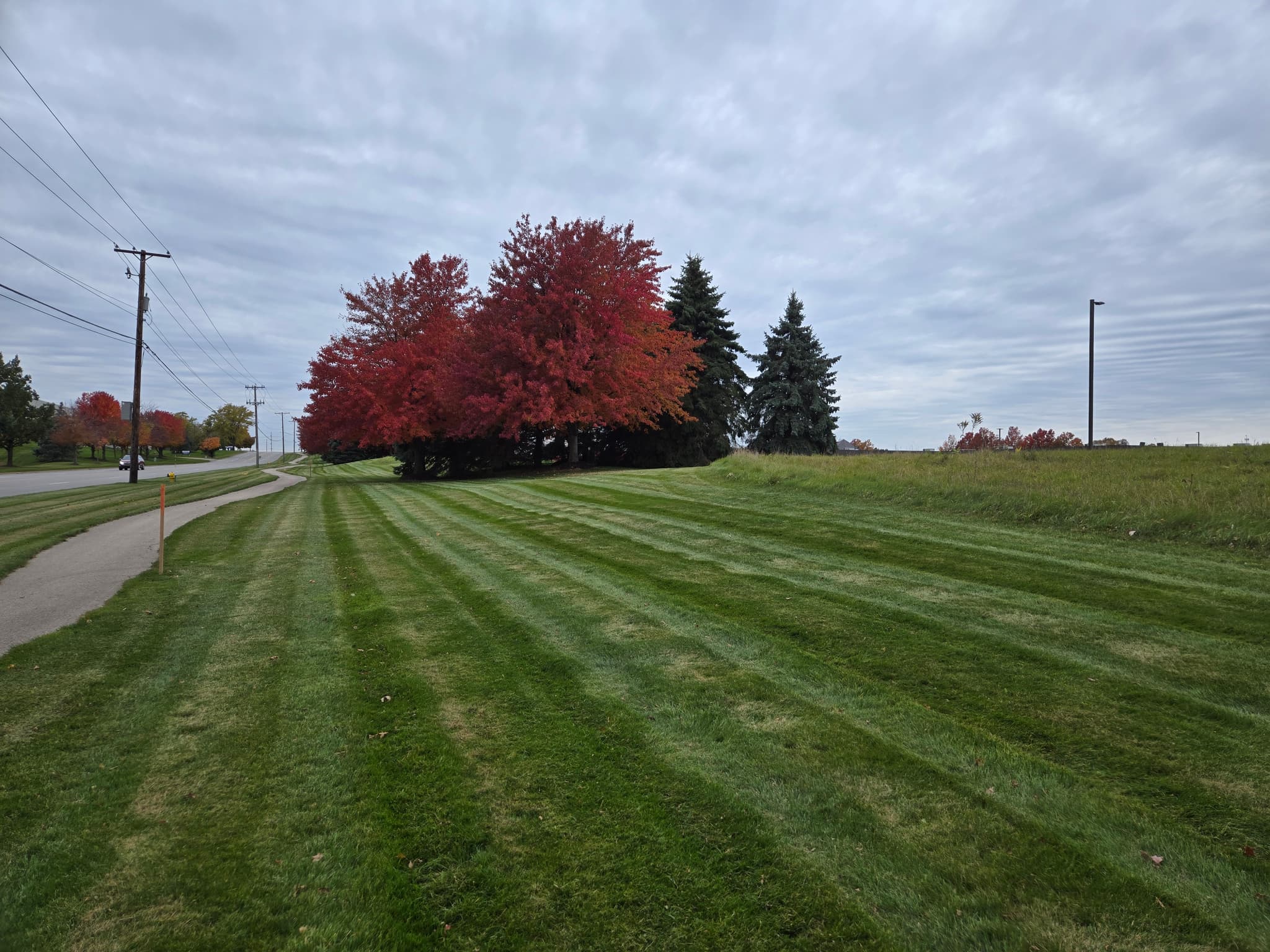 Professional Lawn Mowing - Lawn Maintenance project by Aesthetic Gardener Holland MI